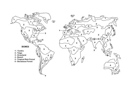 Color The North American Biomes Worksheet Answer Key