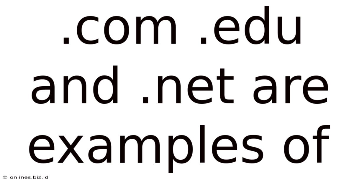 .com .edu And .net Are Examples Of