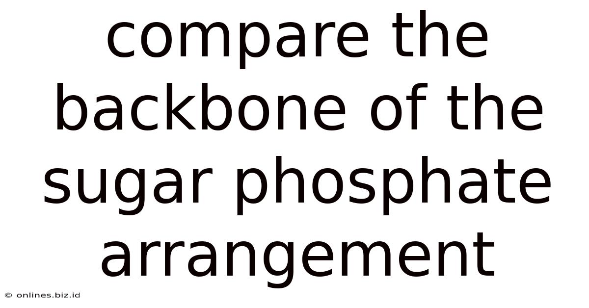 Compare The Backbone Of The Sugar Phosphate Arrangement