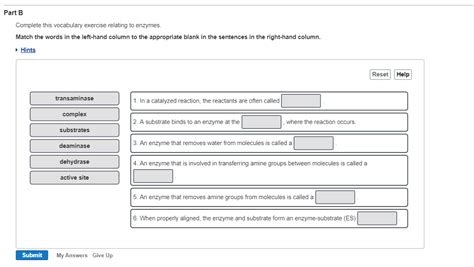 Complete This Vocabulary Exercise Relating To Enzymes