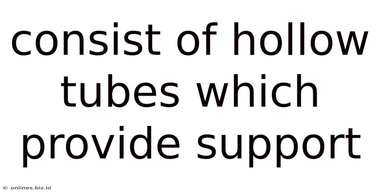 Consist Of Hollow Tubes Which Provide Support