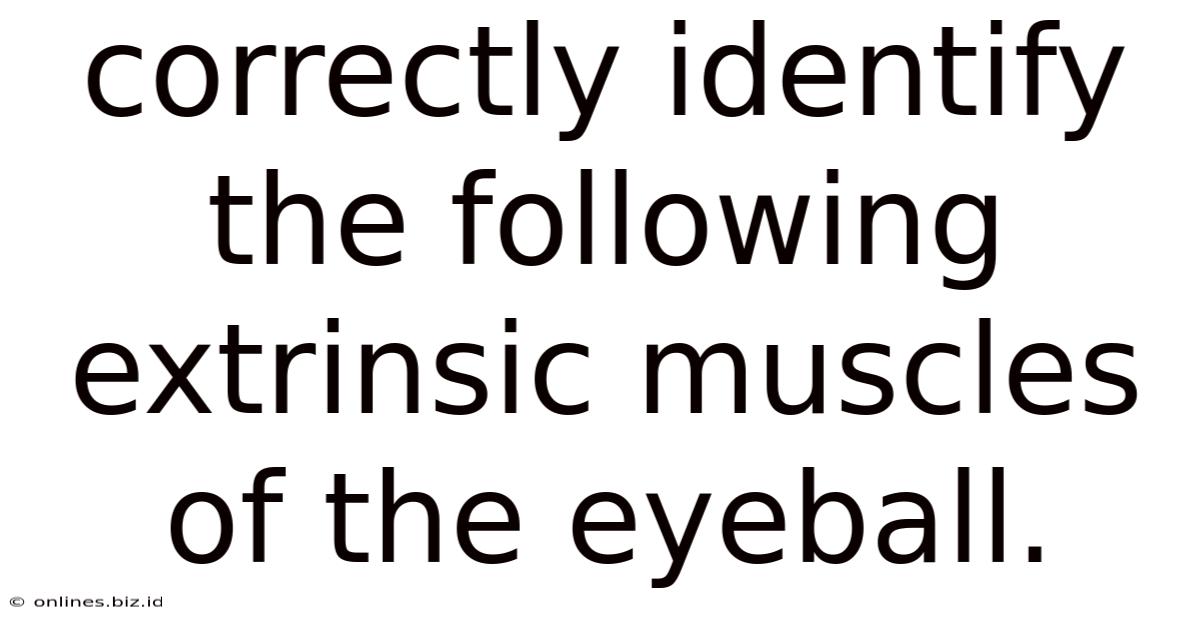 Correctly Identify The Following Extrinsic Muscles Of The Eyeball.