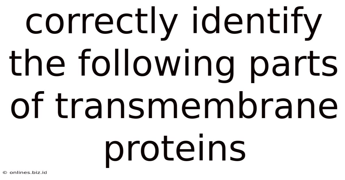 Correctly Identify The Following Parts Of Transmembrane Proteins