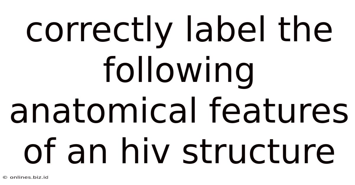 Correctly Label The Following Anatomical Features Of An Hiv Structure