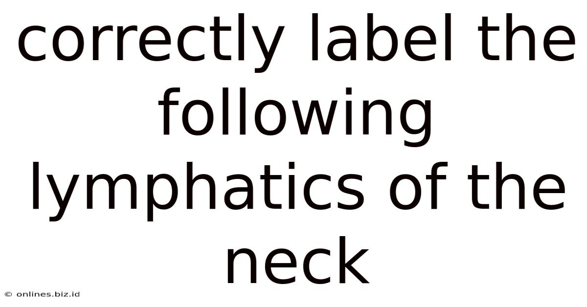 Correctly Label The Following Lymphatics Of The Neck