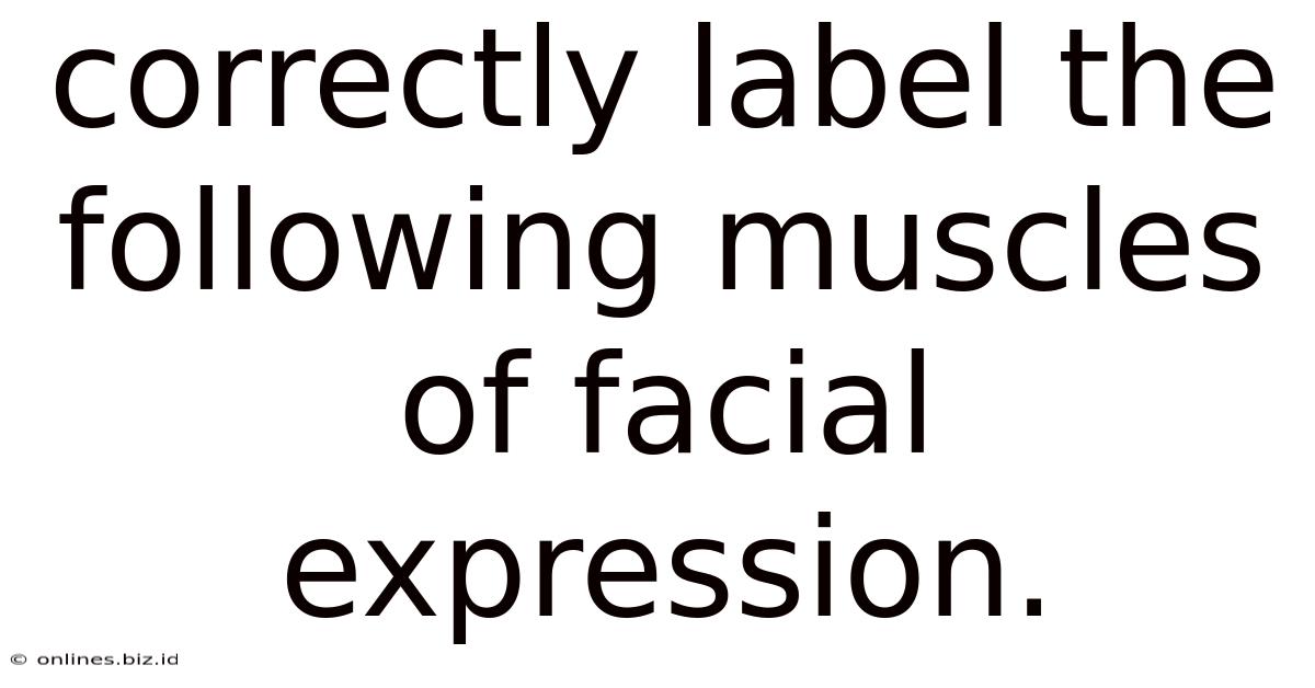 Correctly Label The Following Muscles Of Facial Expression.