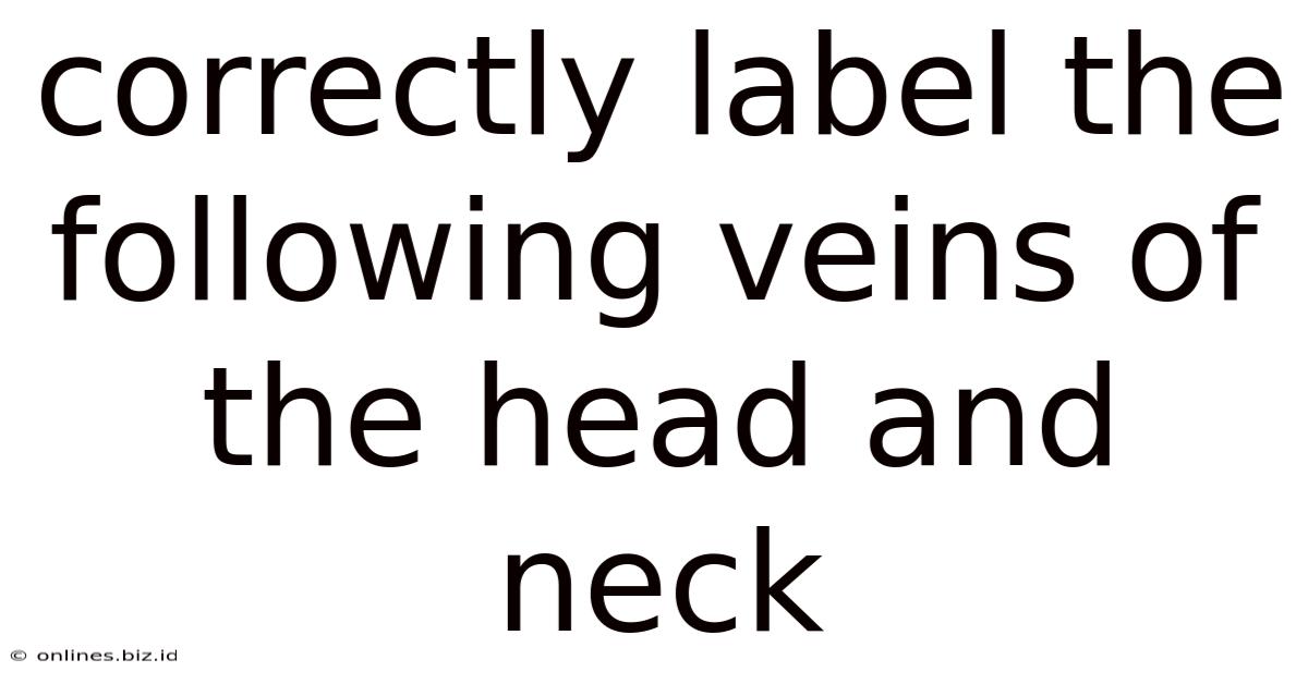 Correctly Label The Following Veins Of The Head And Neck
