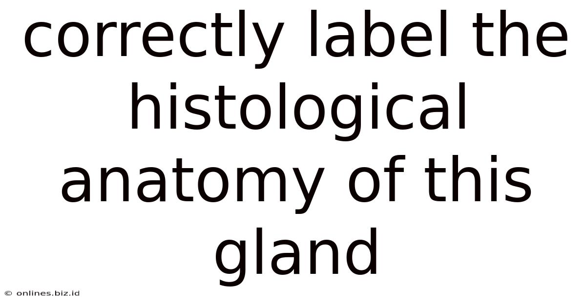 Correctly Label The Histological Anatomy Of This Gland