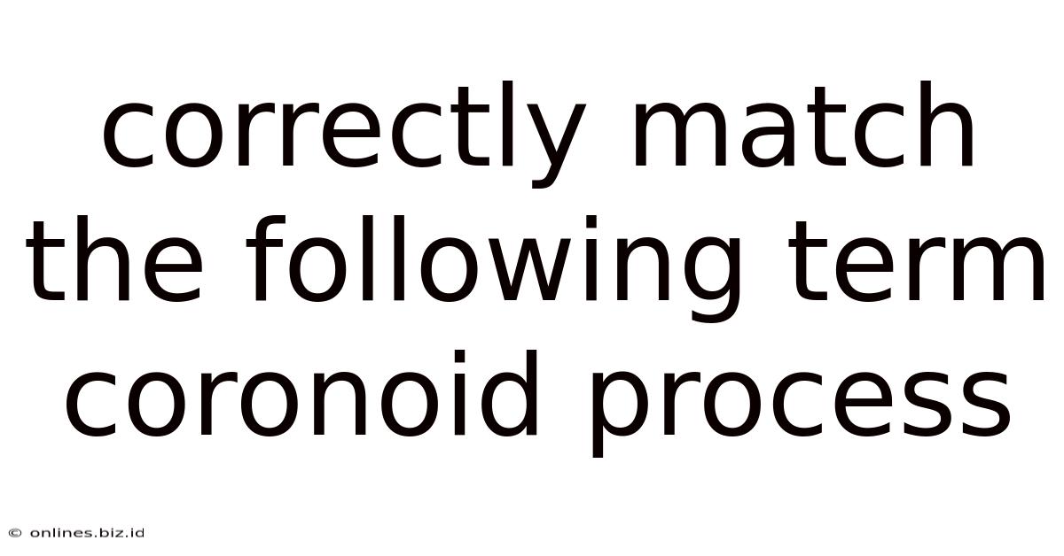 Correctly Match The Following Term Coronoid Process