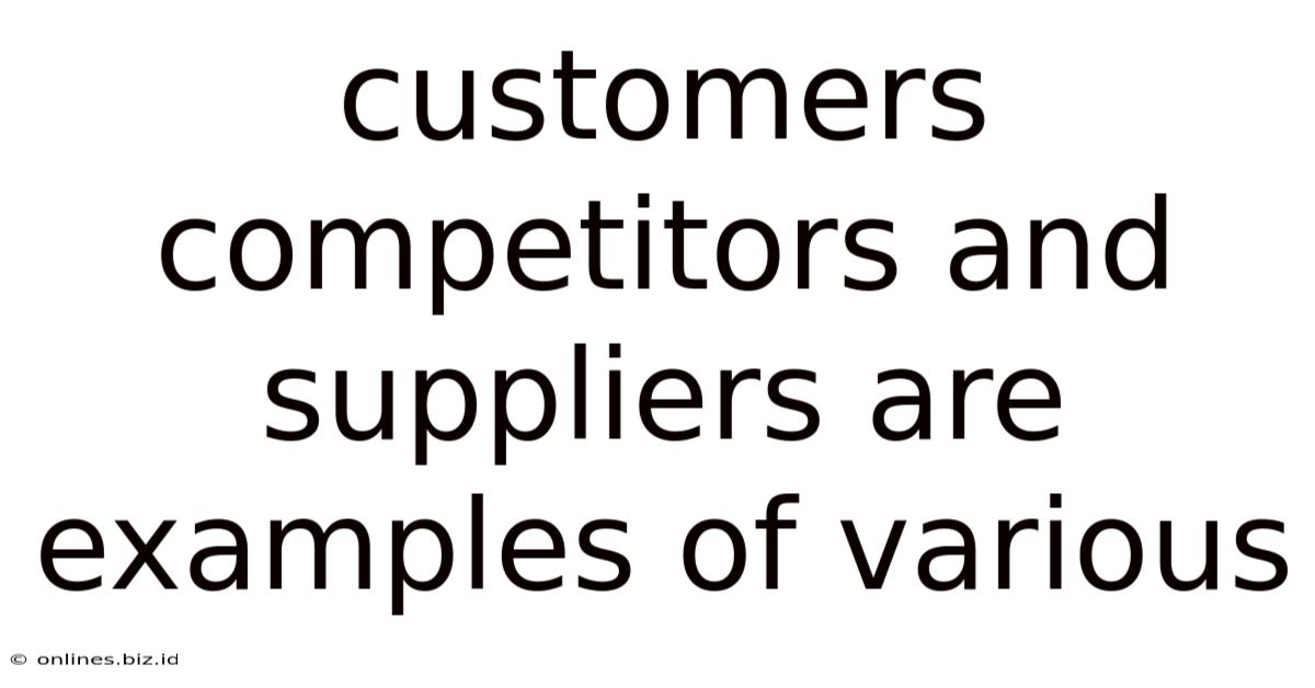 Customers Competitors And Suppliers Are Examples Of Various