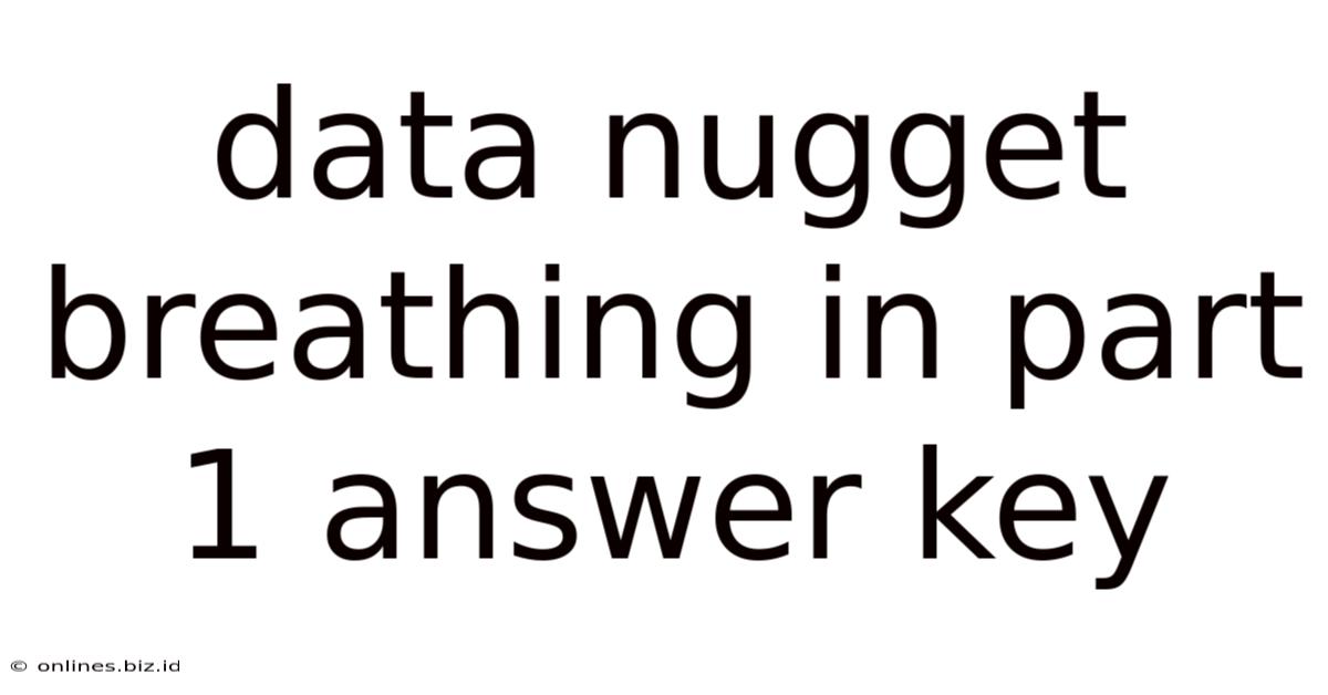 Data Nugget Breathing In Part 1 Answer Key