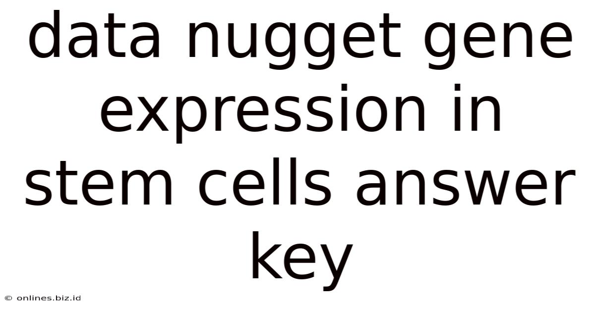 Data Nugget Gene Expression In Stem Cells Answer Key