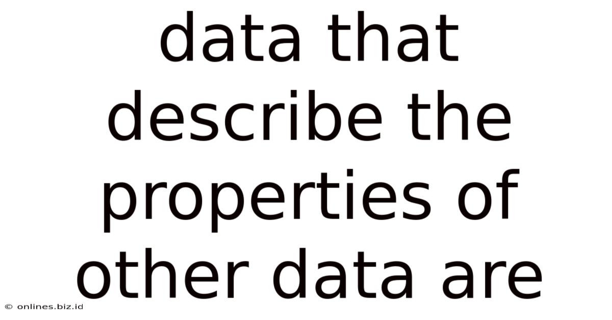 Data That Describe The Properties Of Other Data Are
