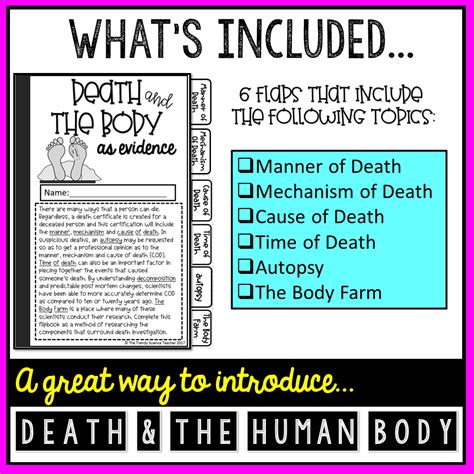 Death And The Body As Evidence Flipbook Answers