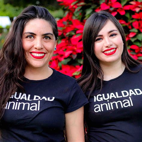 Desde El Grupo Protectores De Animales Del Sur