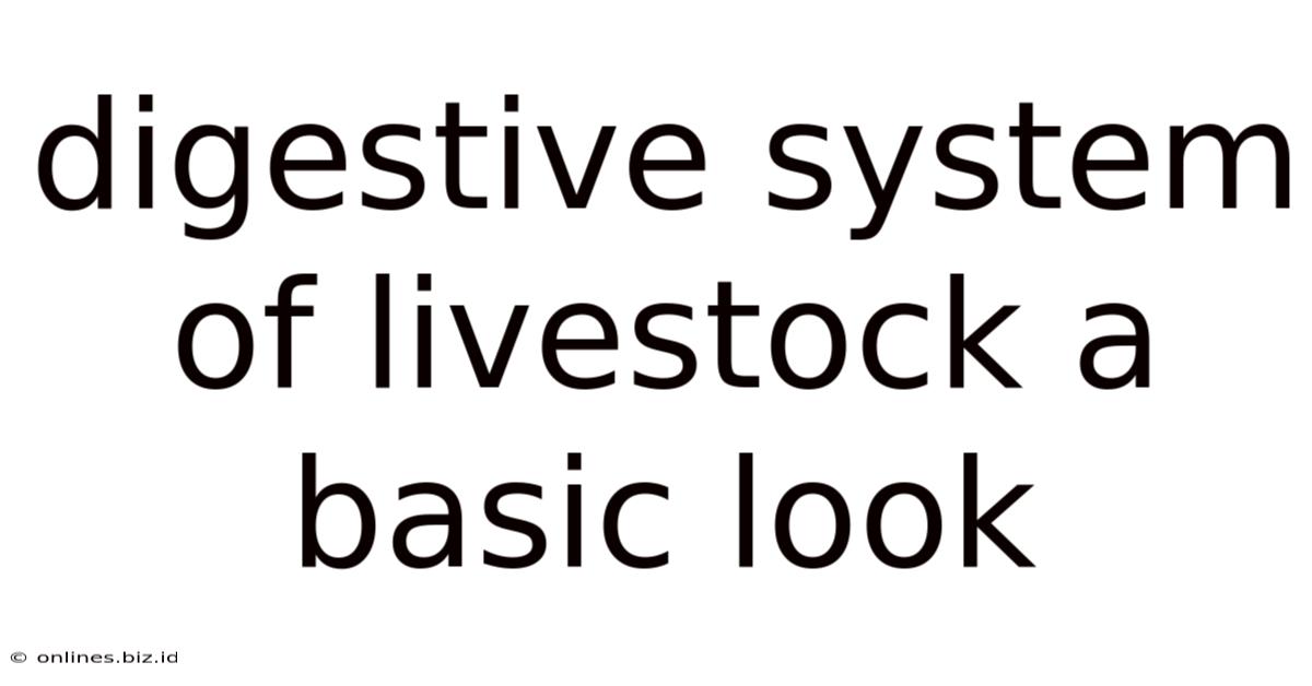 Digestive System Of Livestock A Basic Look