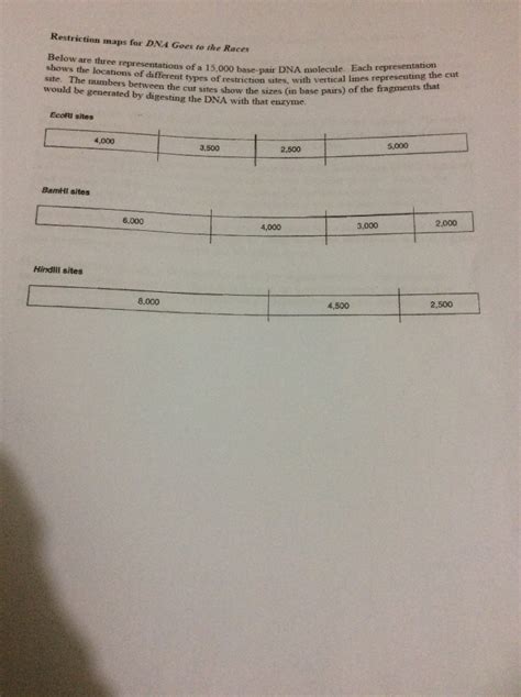 Dna Goes To The Races Answers