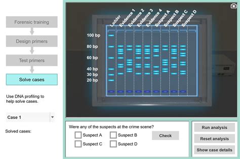 Dna Profiling Virtual Labs Answer Key