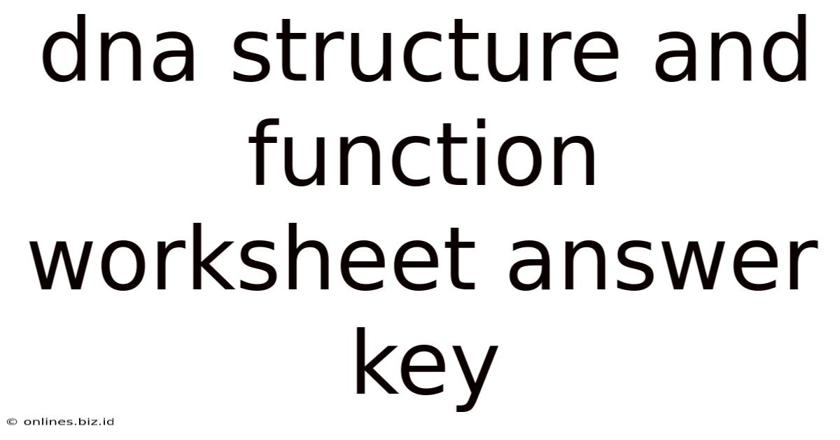Dna Structure And Function Worksheet Answer Key