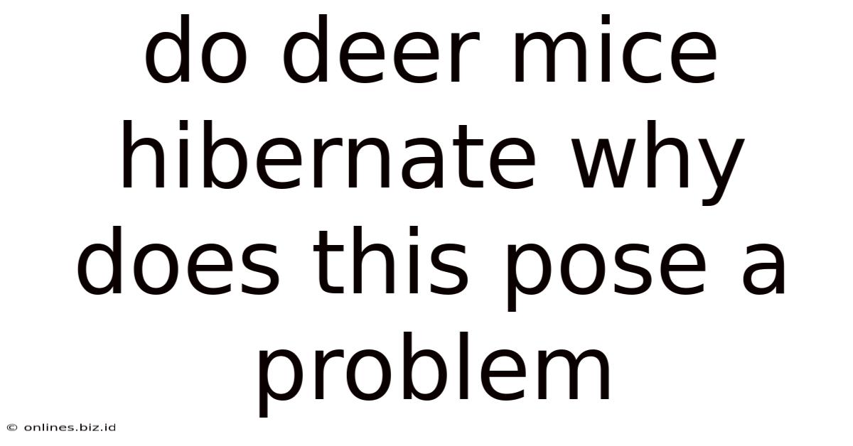 Do Deer Mice Hibernate Why Does This Pose A Problem