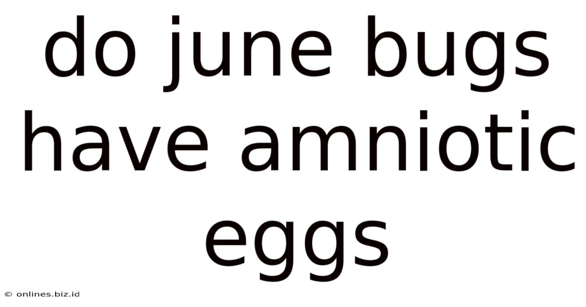 Do June Bugs Have Amniotic Eggs