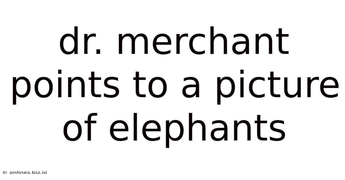 Dr. Merchant Points To A Picture Of Elephants