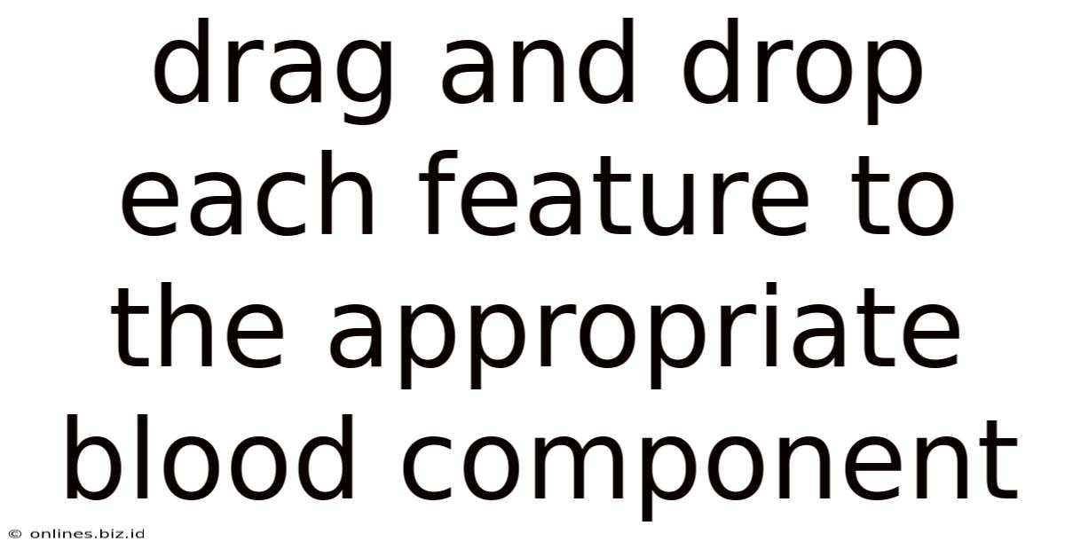 Drag And Drop Each Feature To The Appropriate Blood Component