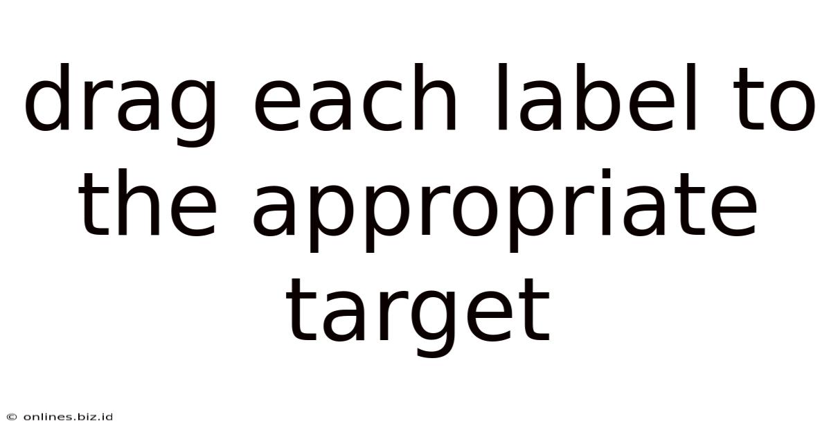 Drag Each Label To The Appropriate Target