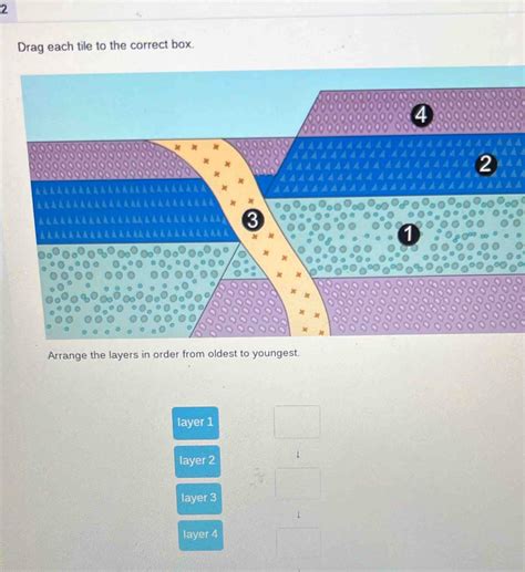 Drag Each Tile To The Correct Box