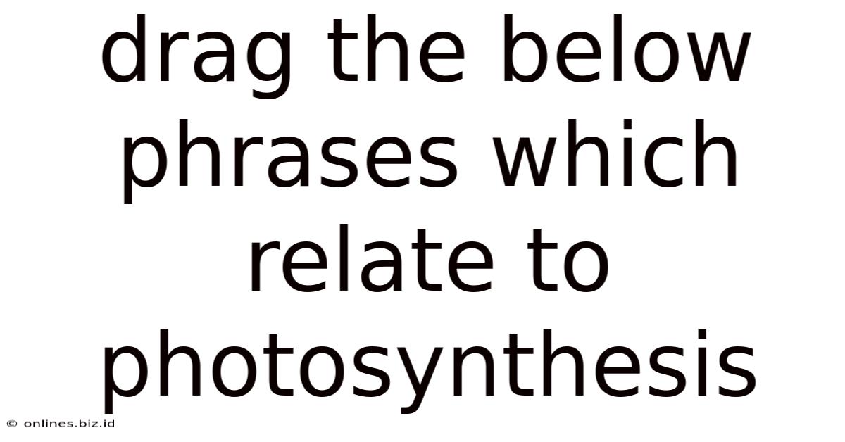 Drag The Below Phrases Which Relate To Photosynthesis