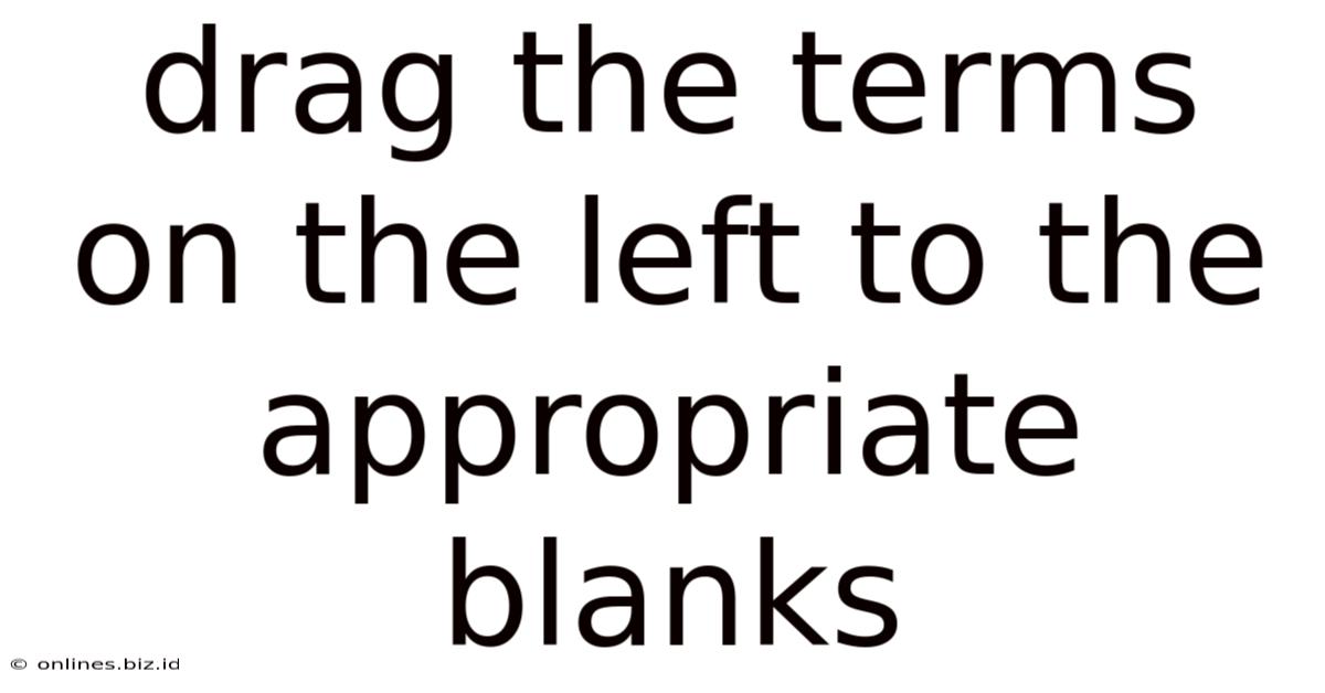 Drag The Terms On The Left To The Appropriate Blanks