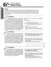 Economic Detective Desert Flower Answer Key