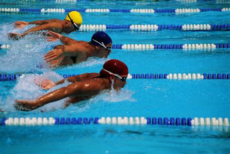 El Equipo De Natación Entrenaba Los Sábados. Correct Incorrect