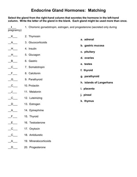 Endocrine System Vocabulary Matching Worksheet Answer Key