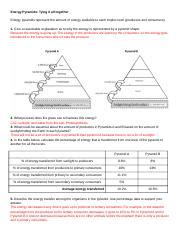 Energy Pyramids Tying It All Together