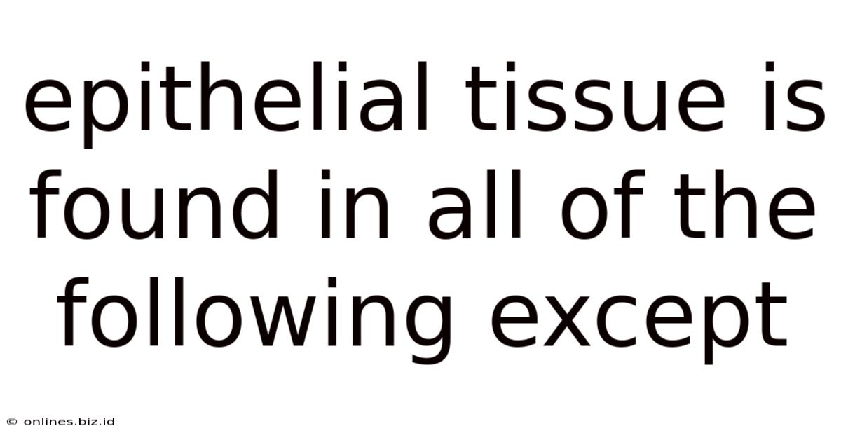 Epithelial Tissue Is Found In All Of The Following Except