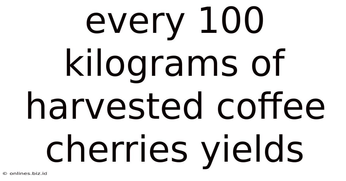 Every 100 Kilograms Of Harvested Coffee Cherries Yields