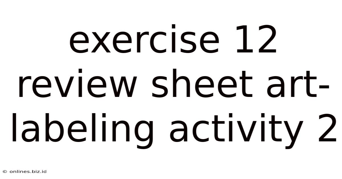 Exercise 12 Review Sheet Art-labeling Activity 2