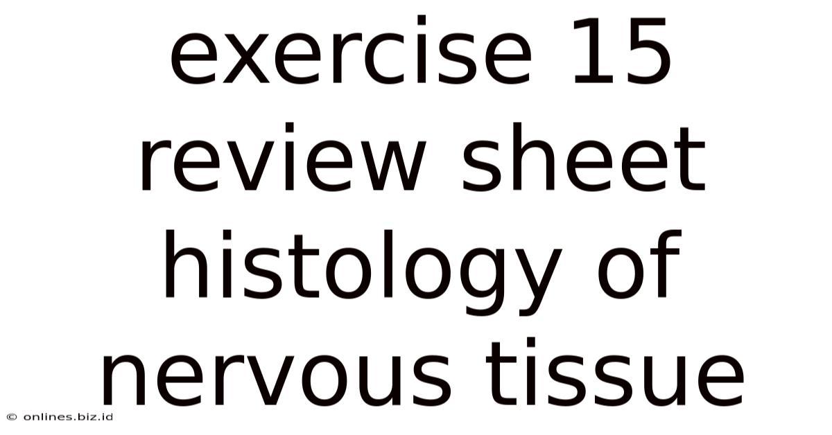 Exercise 15 Review Sheet Histology Of Nervous Tissue