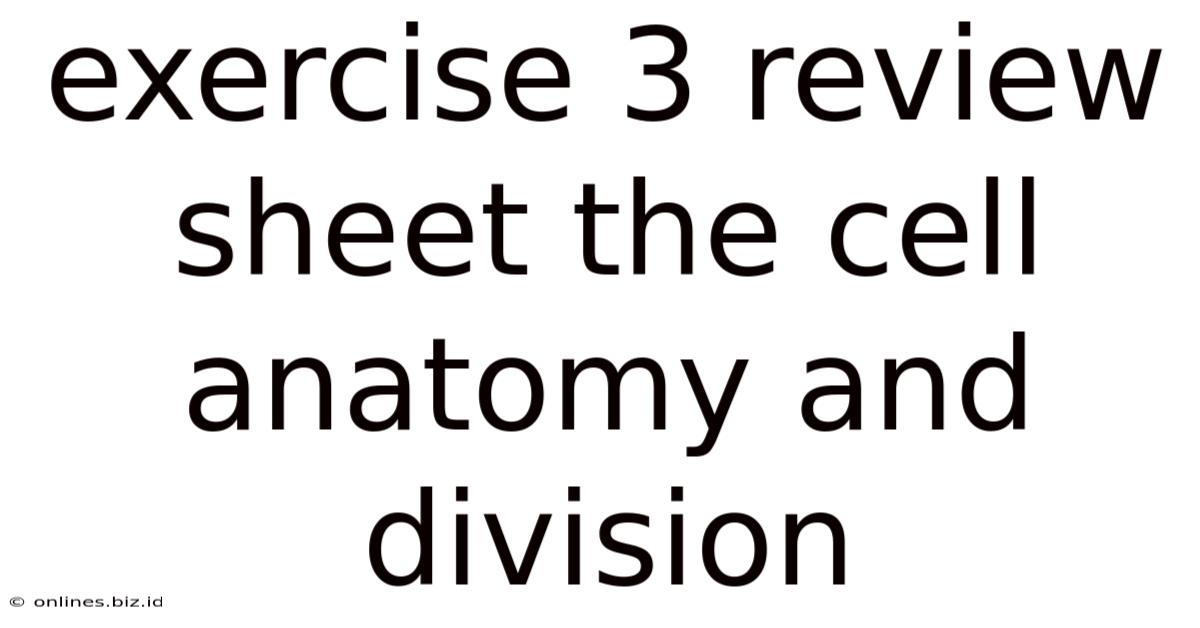 Exercise 3 Review Sheet The Cell Anatomy And Division