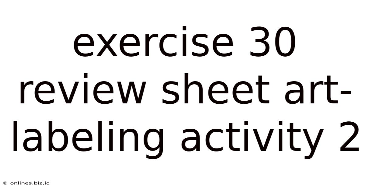 Exercise 30 Review Sheet Art-labeling Activity 2