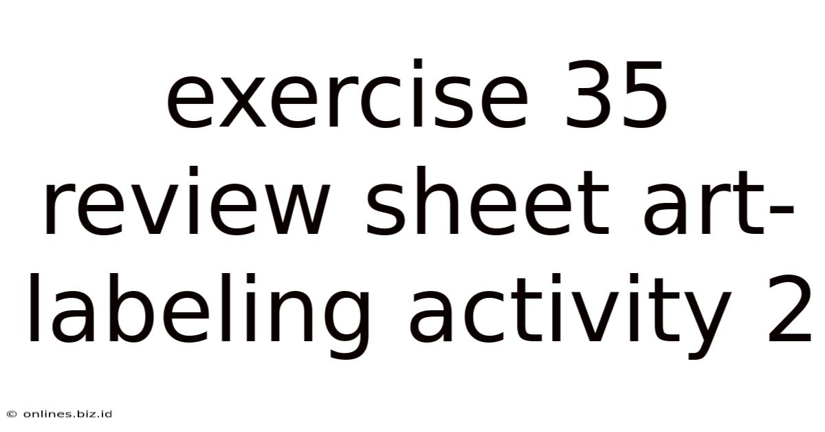 Exercise 35 Review Sheet Art-labeling Activity 2