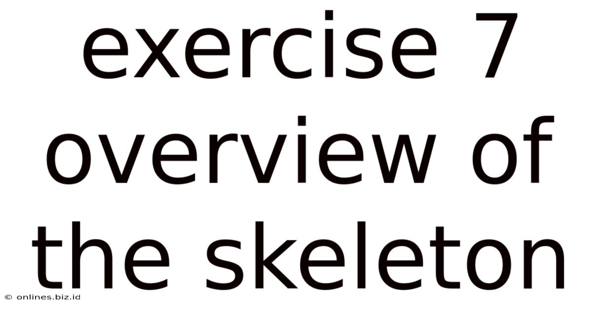 Exercise 7 Overview Of The Skeleton
