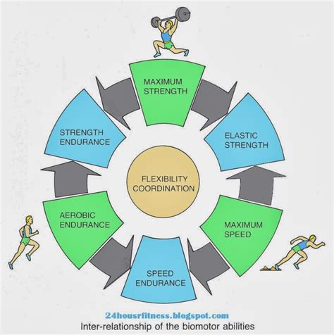 Exercise Methodology Includes Which Of The Following Exercise Cycle Components