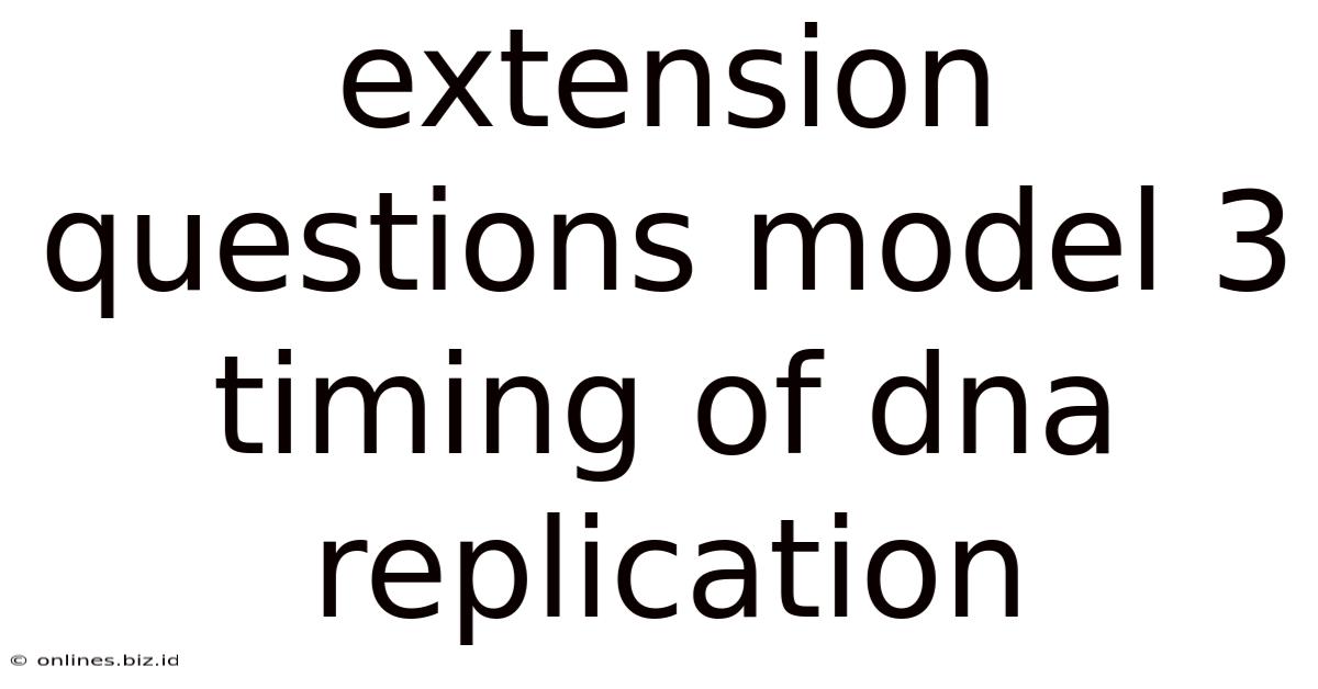 Extension Questions Model 3 Timing Of Dna Replication