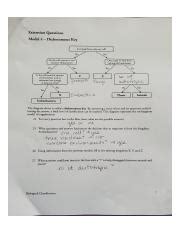 Extension Questions Model 4 Dichotomous Key Worksheet Answers