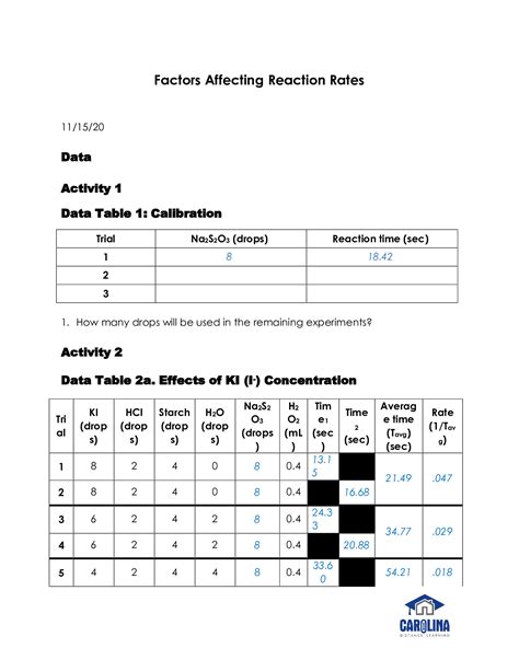 Factors Affecting Reaction Rates Lab Report