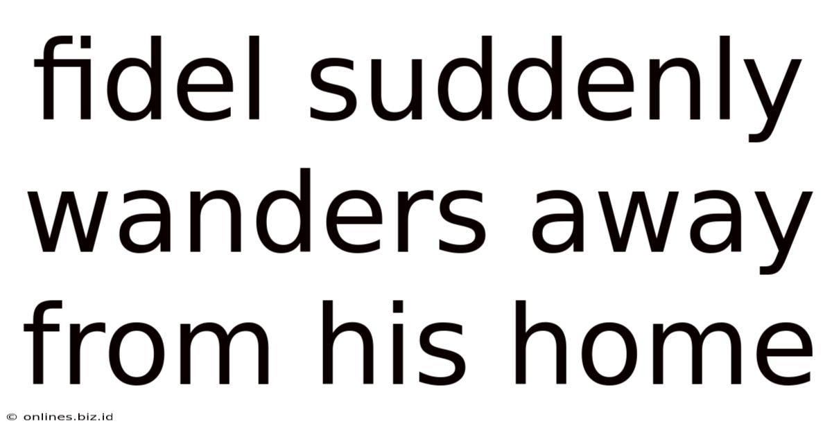 Fidel Suddenly Wanders Away From His Home