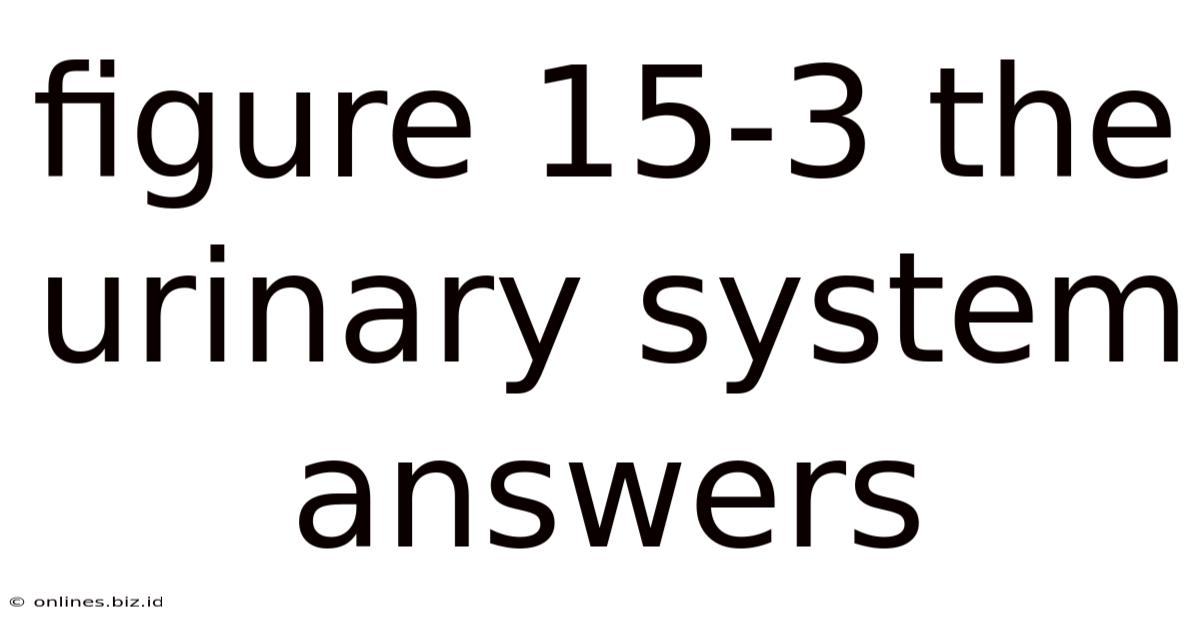 Figure 15-3 The Urinary System Answers