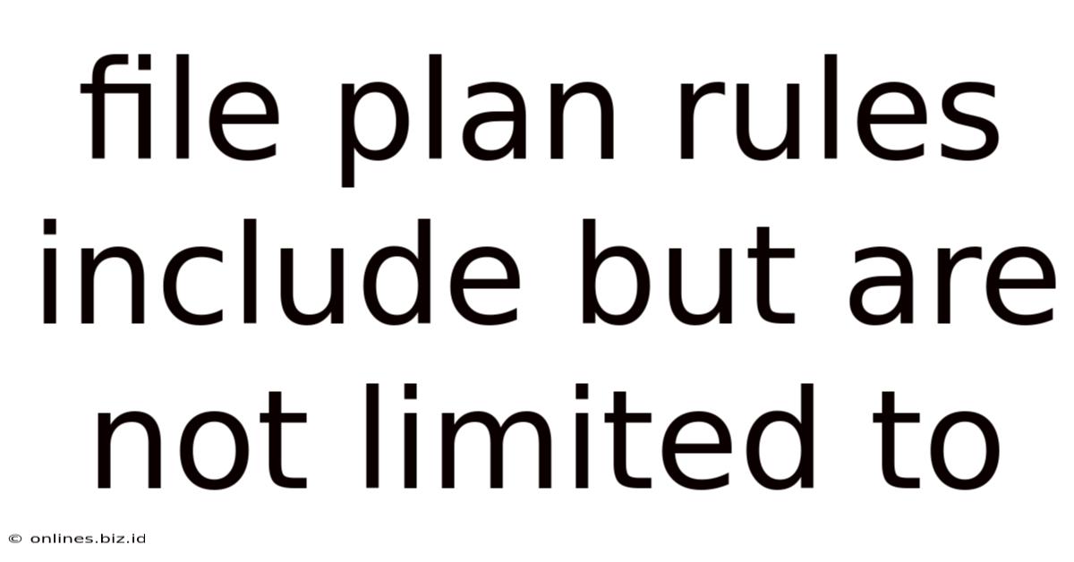 File Plan Rules Include But Are Not Limited To